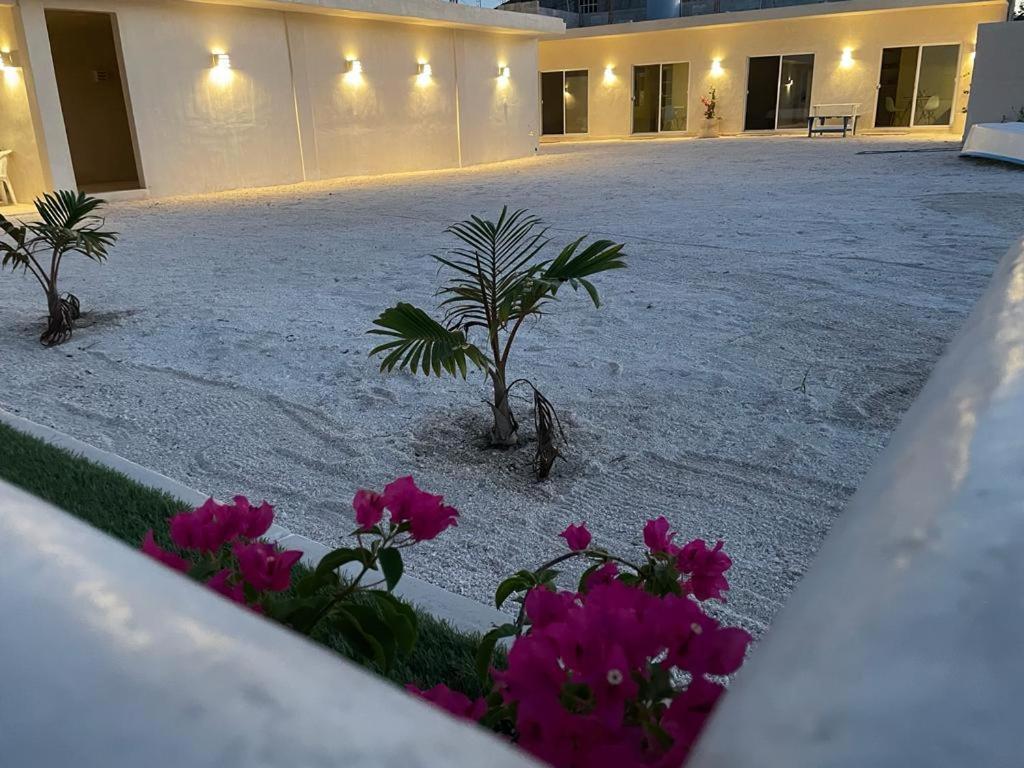 Palomar Villas Río Lagartos Buitenkant foto